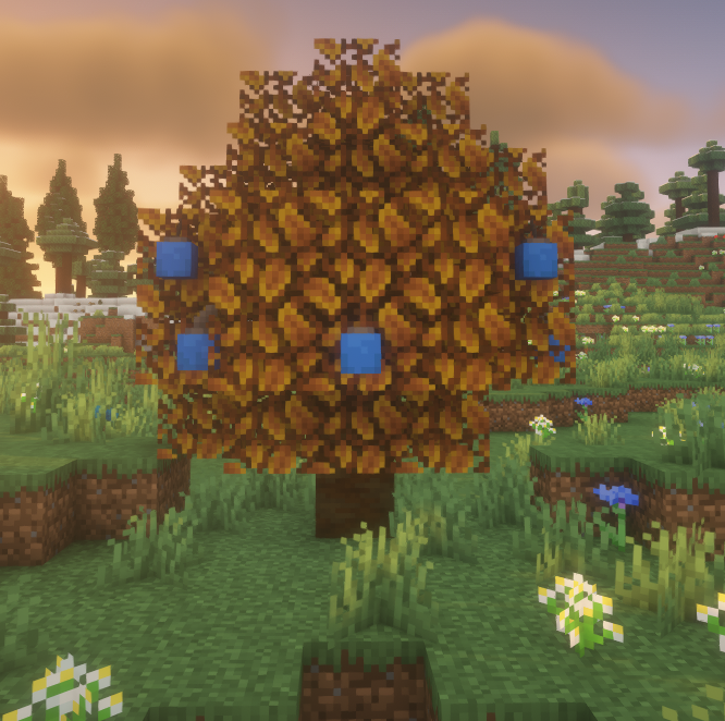 Blue Apricorn Tree in the Wilderness