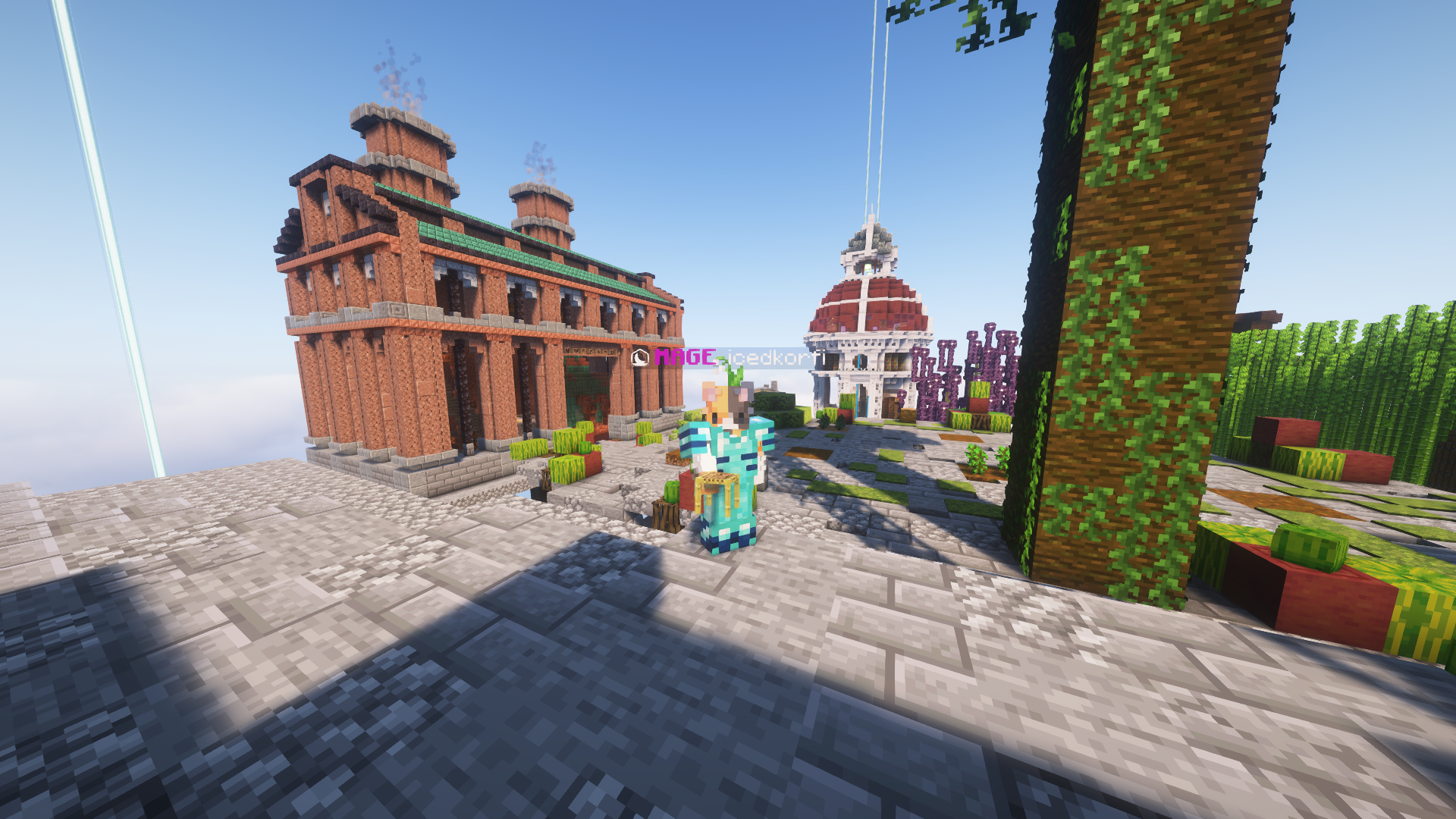 icedkorfi in front of two buildings in skyblock