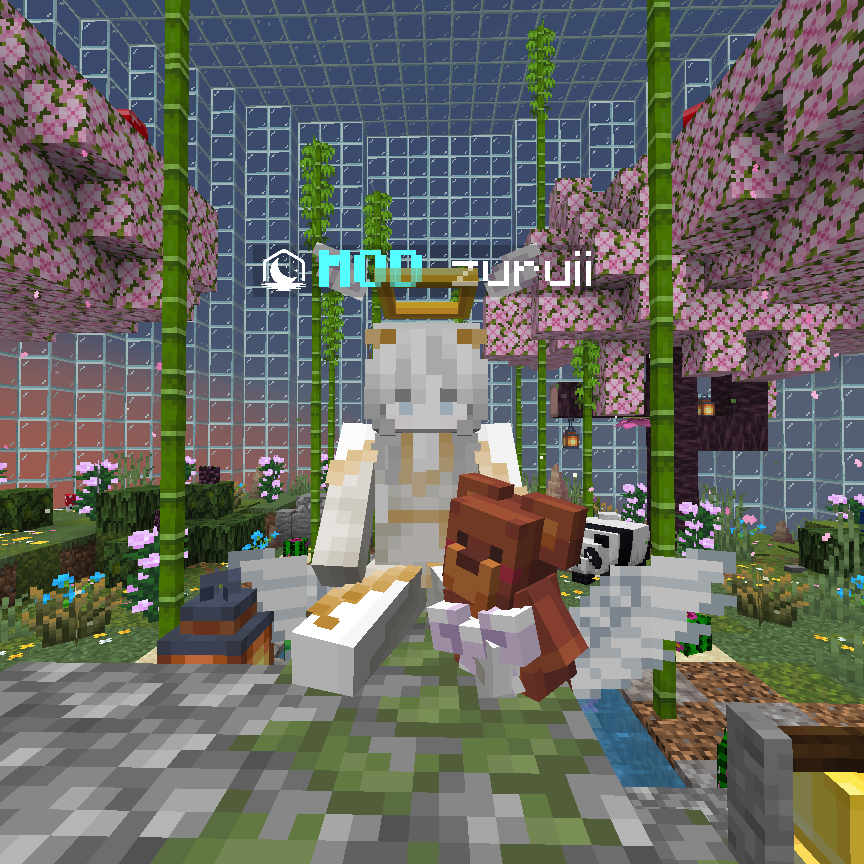 Mod zuruii